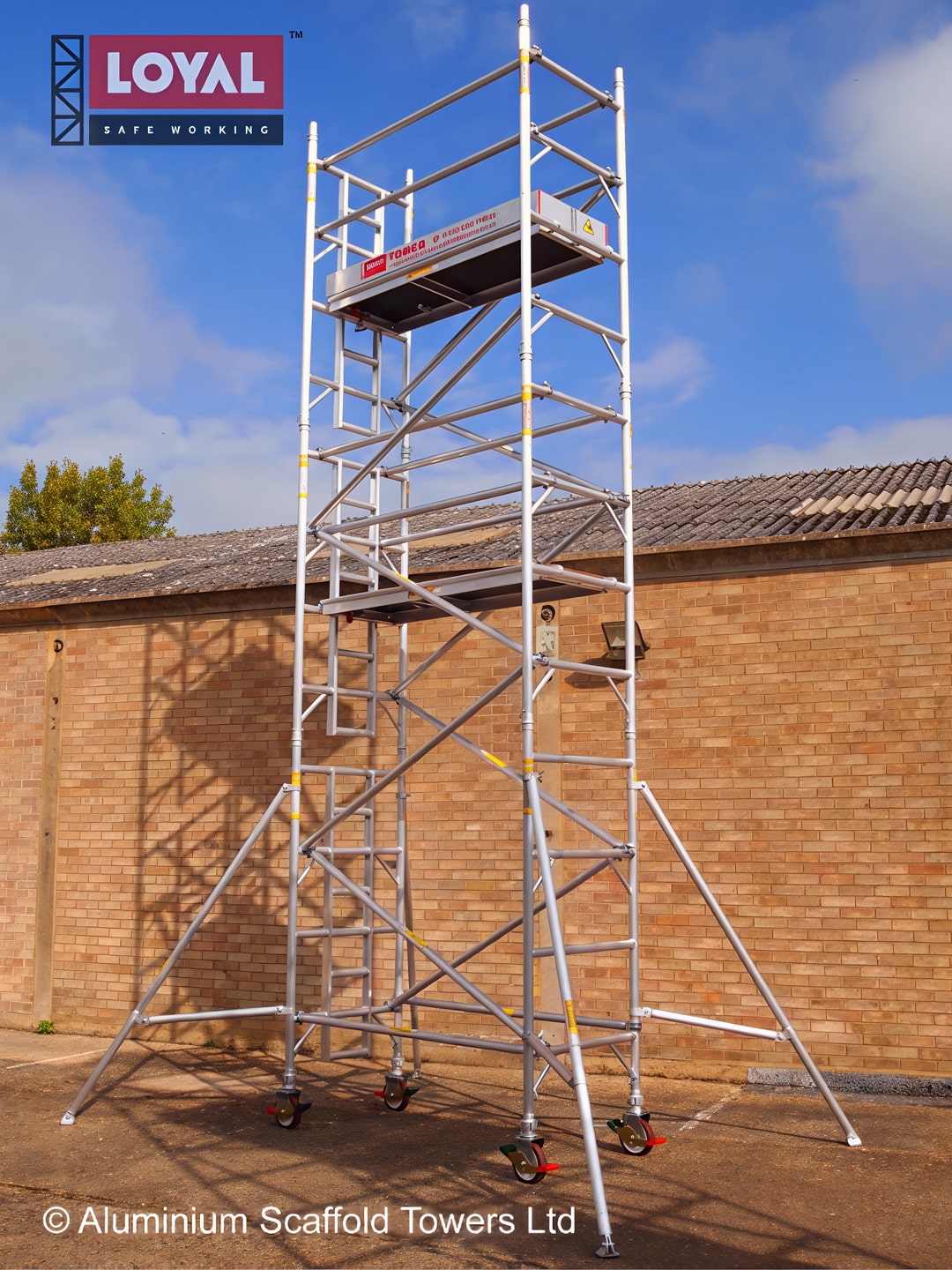 EN131 Professional Light Trade Extension Ladders