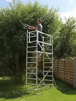 Trimming tall trees with a stable LOYAL garden platform